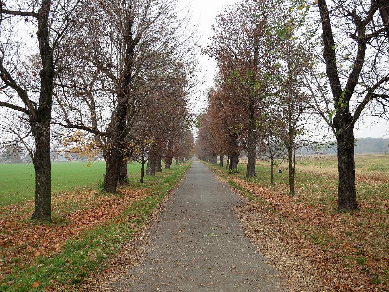 07,_Veltrusy (3).JPG